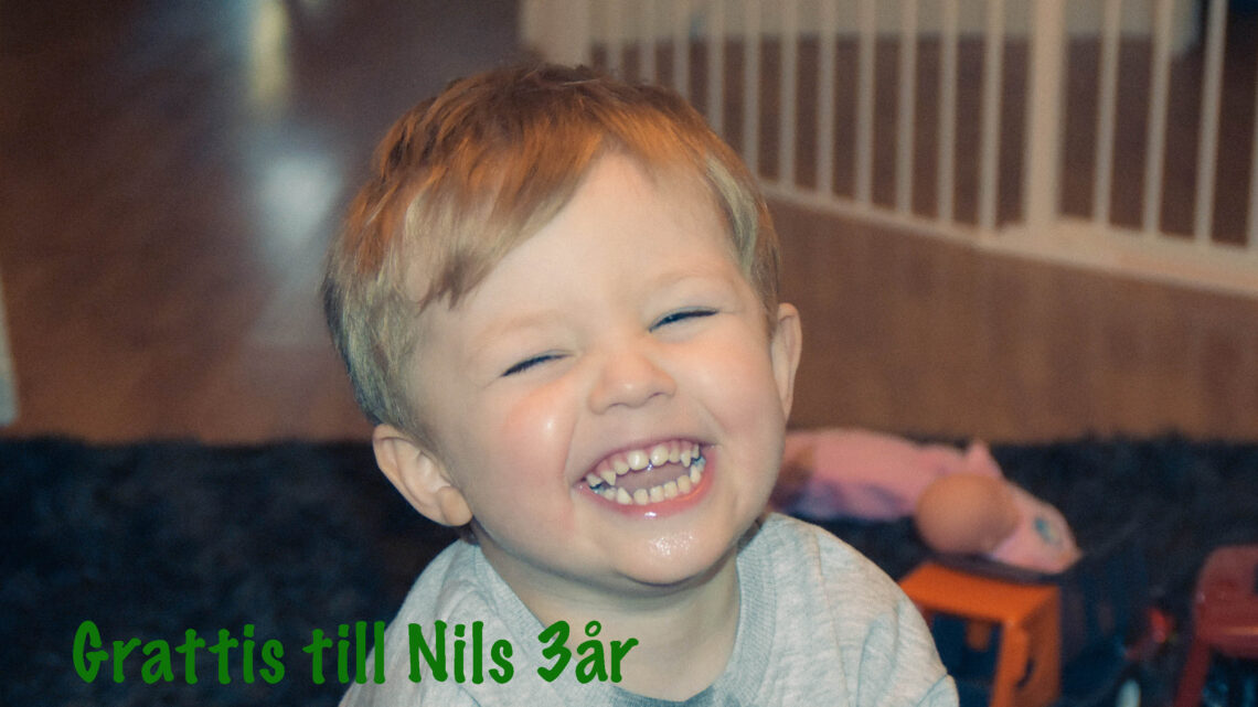 Grattis Nils 3år